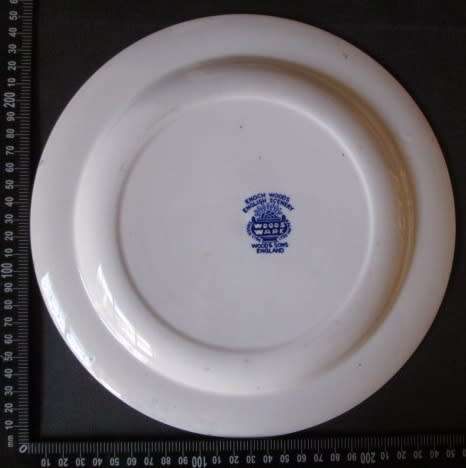 Woods Plate 'English Scenery'