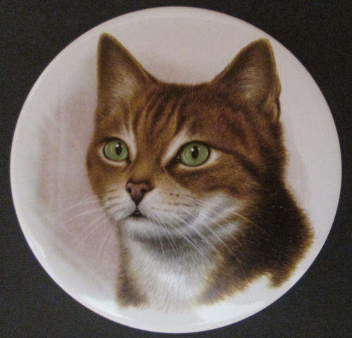 H & R Johnson Ltd Wall Cat Plaque / Coaster / Tile