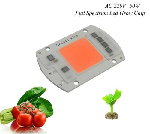 Led 50W Full Spectrum 220V Direct Smart IC - No Driver needed !! **IN STOCK**
