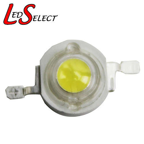 Led 5W Cool White 30-35000K for Marine Reef Aquarium **LOCAL STOCK**