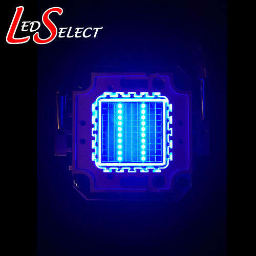 20W Led Blue Aquarium 460-465nm **LOCAL STOCK**