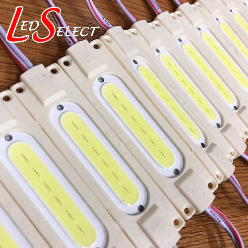 Led Module 12V 2W Cool White (8-10000K) **LOCAL STOCK**