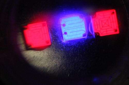 3W Grow light Led (2x Red 660nm /1x Blue 455nm)
