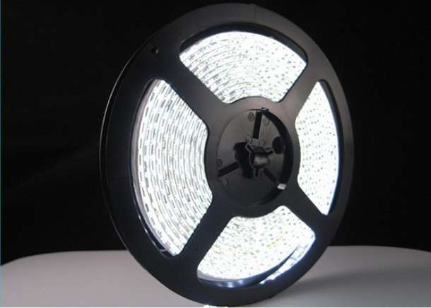 Led Strip Waterproof 3528-120led/mtr Cool White