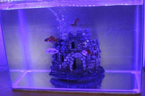 Led 5630 Aquarium / Fish Tank Light Blue 1Mtr