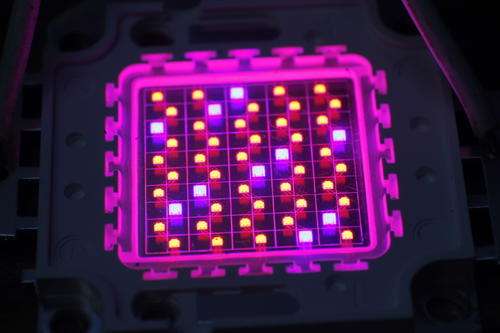50W Led Grow Light Chip