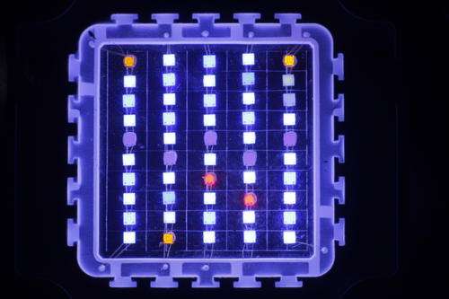 100W Aquarium Led Chip