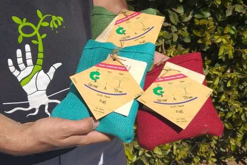 Coral tree or Wealth Tree, Grow a Tree in a Bag - Perfect Gift, DIY kit for a tree !