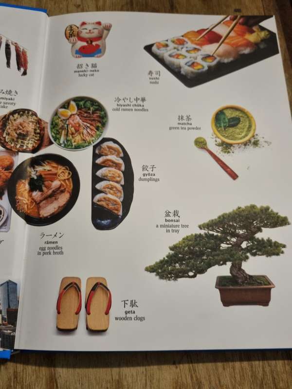 Japanese Picture Dictionary - Large hardcover