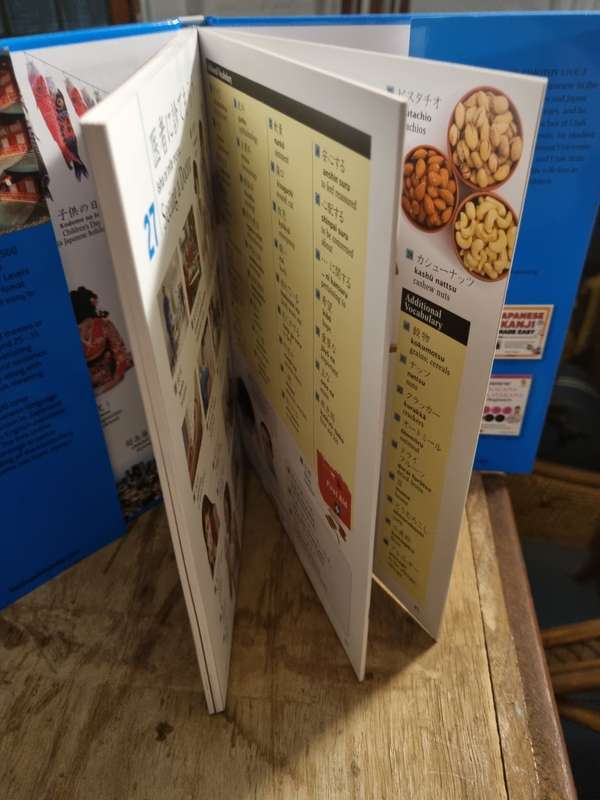 Japanese Picture Dictionary - Large hardcover