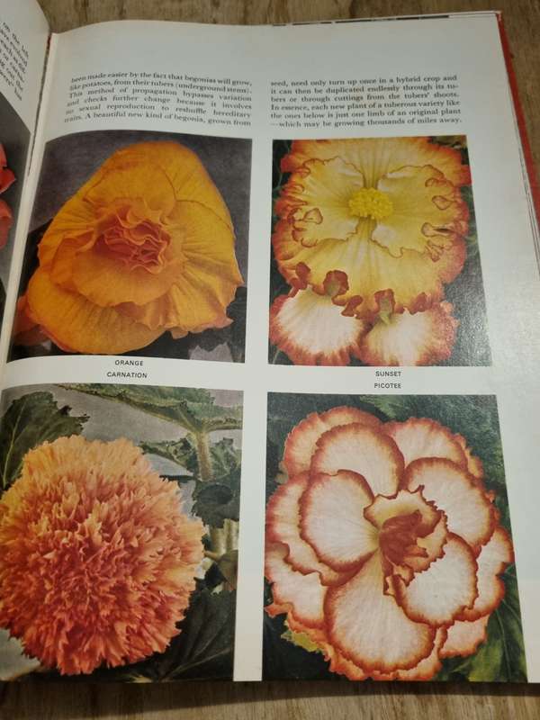 Evolution - Life Nature Library
