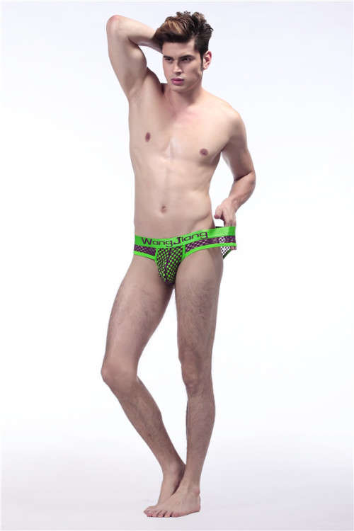 2014-SJ PURPLE MENS UNDERWEAR