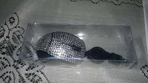 Silver BLING usb optical mouse