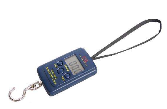 Portable Electronic Digital Scale 40Kgs