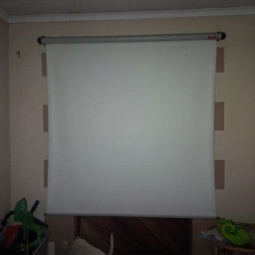 Parrot Projector Screen
