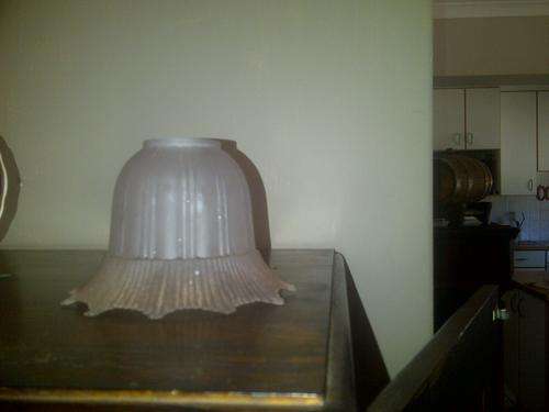 Small frosted antique light shade