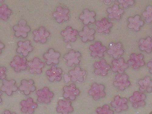 EDIBLE SUGAR DECORATIONS -Pink Fondant Blossoms Small