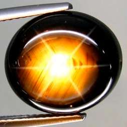19.19 ct ASTERISM SAPPHIRE - untreated