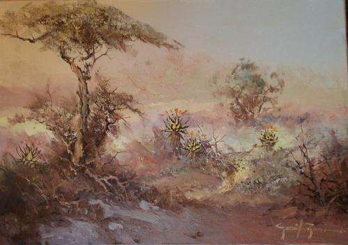 GERRIT ROON