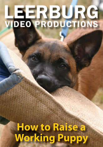 How to Raise a Working Puppy DVD