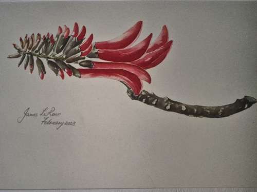 Original Water Colour Painting