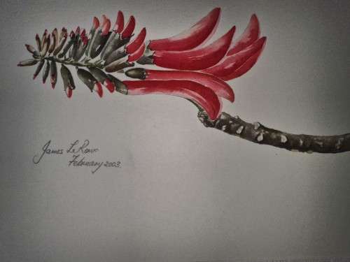Original Water Colour Painting