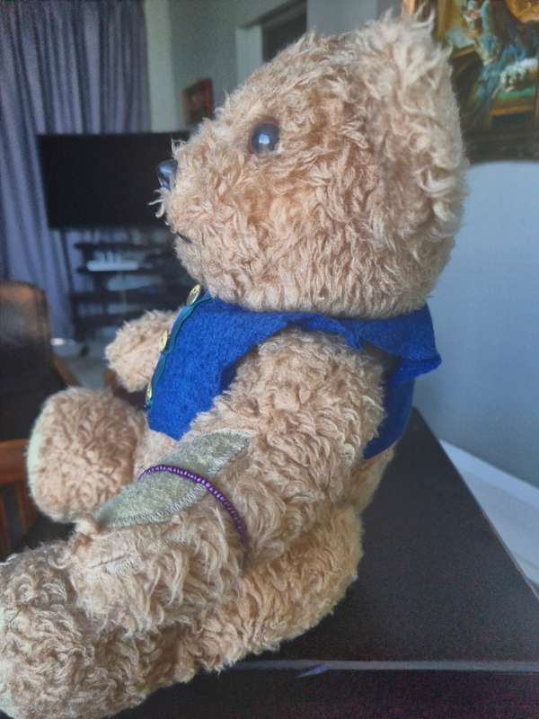 Antique teddy bear