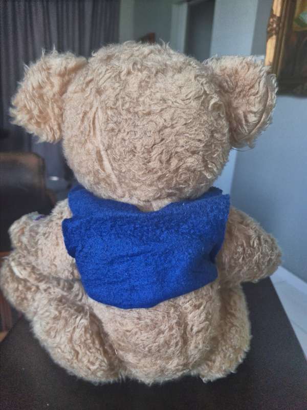 Antique teddy bear