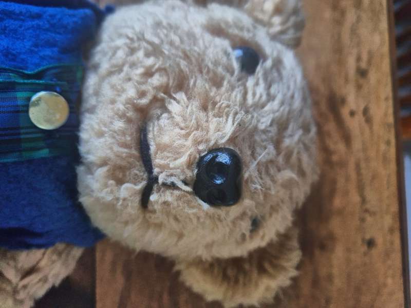 Antique teddy bear