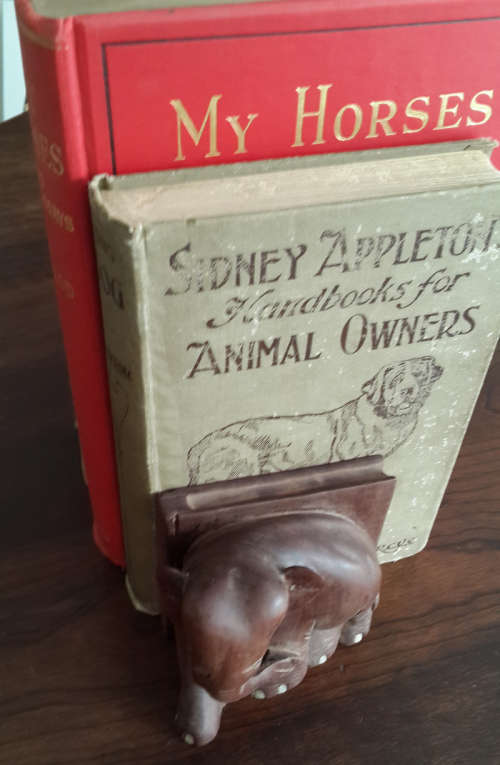 Elephant bookends