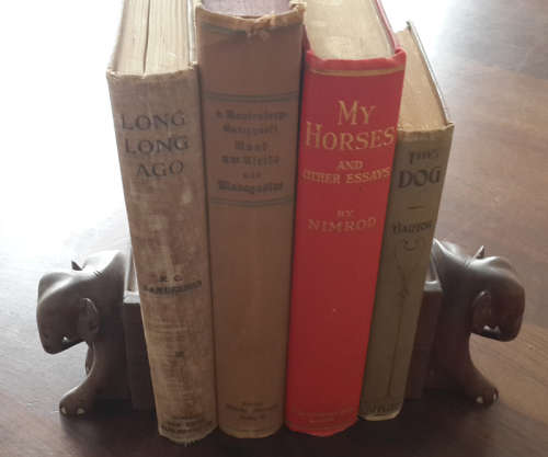 Elephant bookends