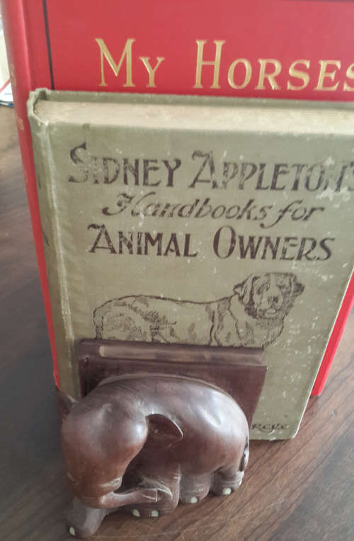 Elephant bookends