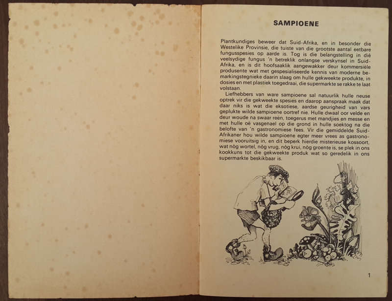Sampioene (Eric H Bolsmann)