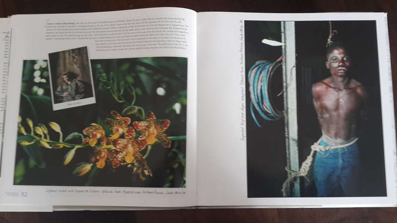 Raconteur Road: Shots into Africa  (Obie Oberholzer)