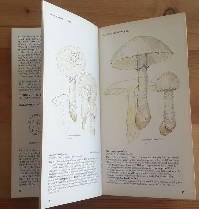 A Field Guide to the Mushrooms of South Africa