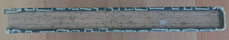 Goue Fluit, Goue Fluit (C. G. S. De Villiers)