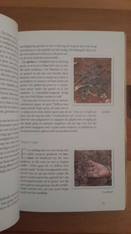 Kruidjie Roer My: Die antieke helingskuns van die Karoo- veld (Antoinette Pienaar)