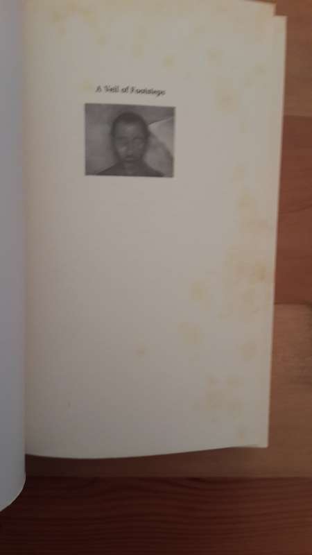 A Veil of Footsteps (Breyten Breytenbach)