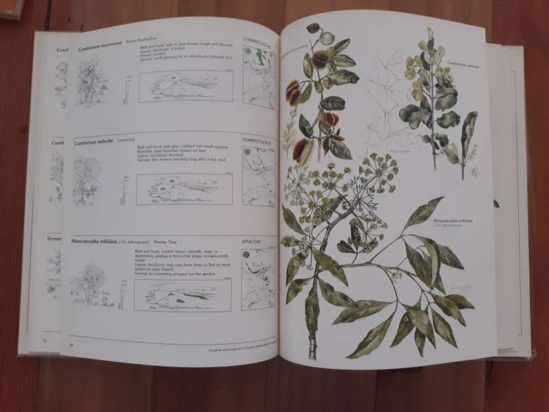 Trees & Shrubs of the Witwatersrand Magaliesberg & Pilanesberg