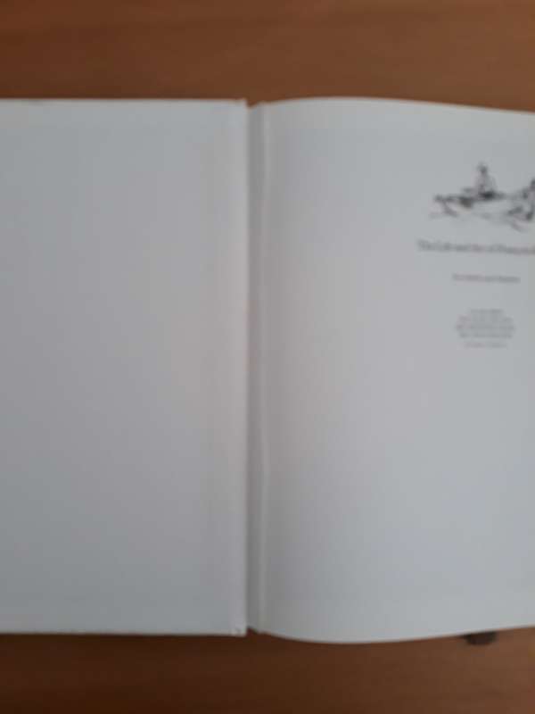 The Life and Art of Francois Krige (Justin Fox)
