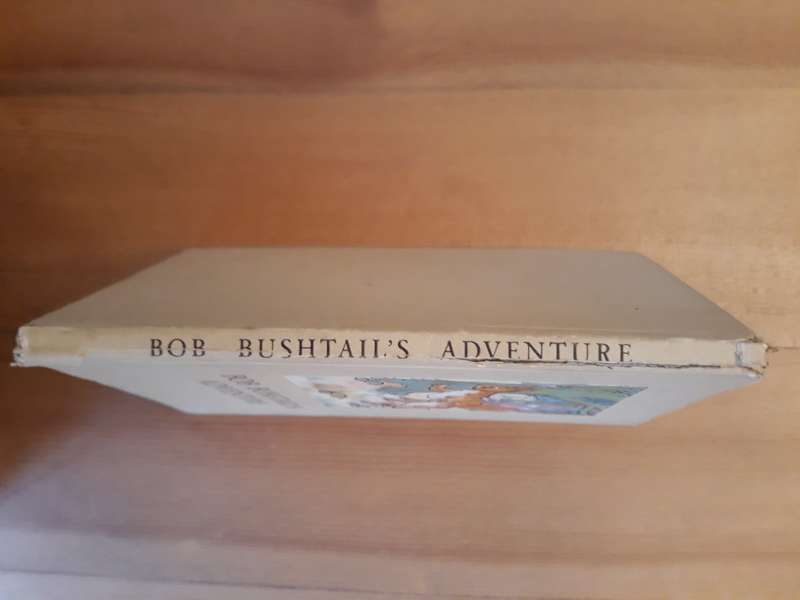 Bob Bushtail's Adventure  A J MacGregor