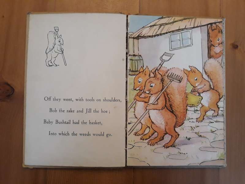 Bob Bushtail's Adventure  A J MacGregor