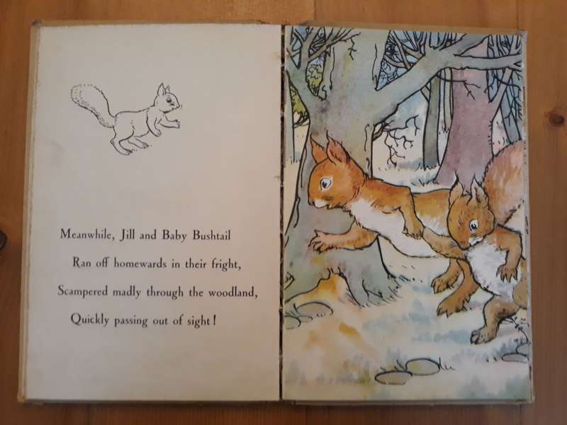 Bob Bushtail's Adventure  A J MacGregor