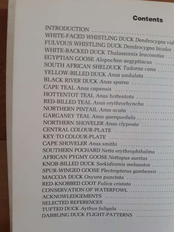 A Guide to the Waterfowl of the Transvaal / 'n Gids tot die Waterjagvoels van Transvaal