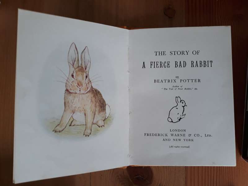 The Story of a Fierce Bad Rabbit (Beatrix Potter)