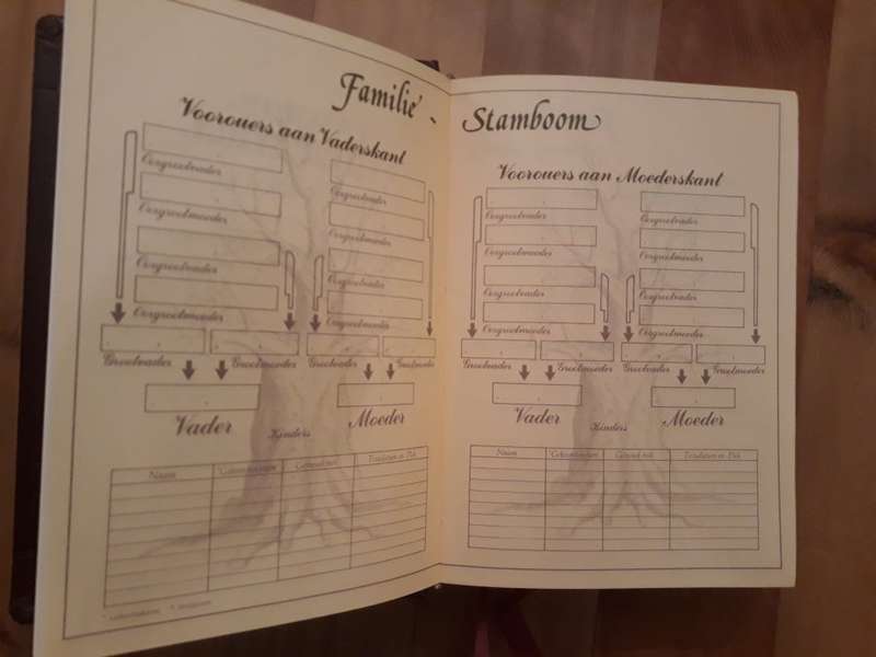 Familie-Studiebybel: Drie Vertalings Olyfberg Uitgewers 1990