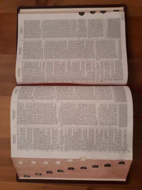 Familie-Studiebybel: Drie Vertalings Olyfberg Uitgewers 1990