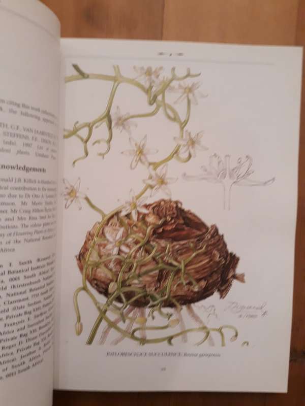 List of Southern African Succulent Plants