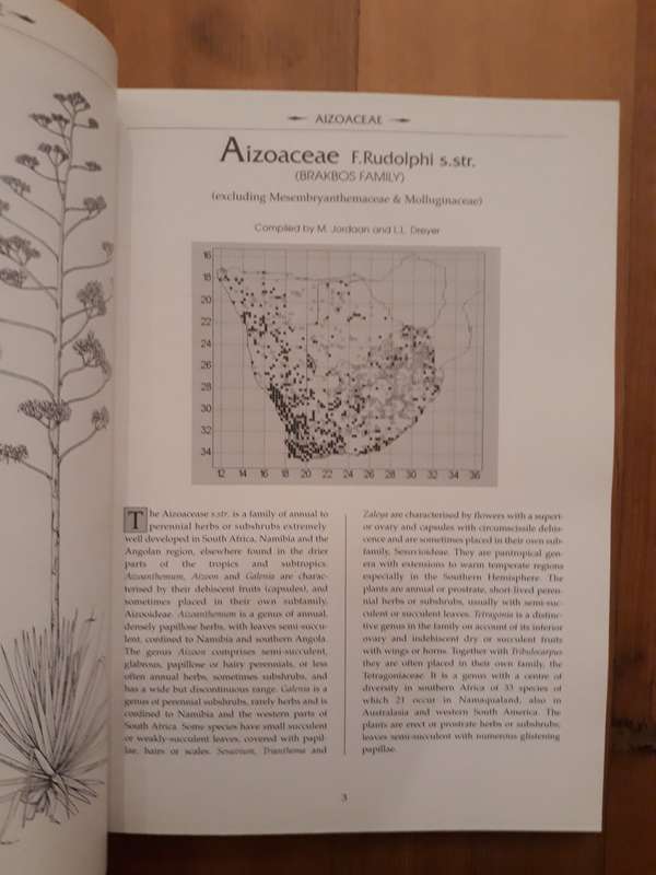 List of Southern African Succulent Plants