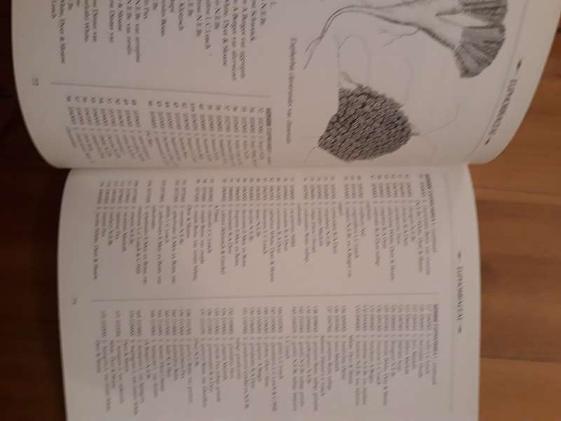 List of Southern African Succulent Plants